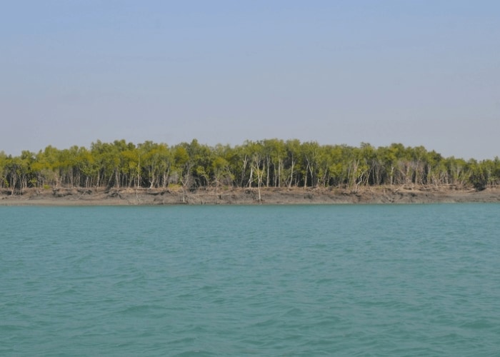Netidhopani
