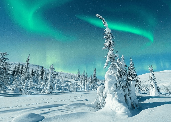 Svalbard