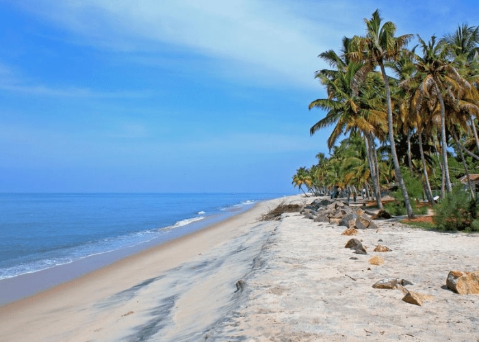 Marari Beach – Tranquil Hideaway for Nature Lovers
