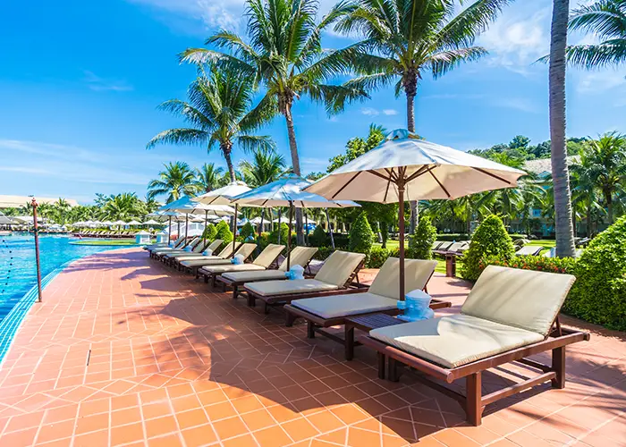 Poolside loungers with umbrellas and palm trees under a clear blue sky.